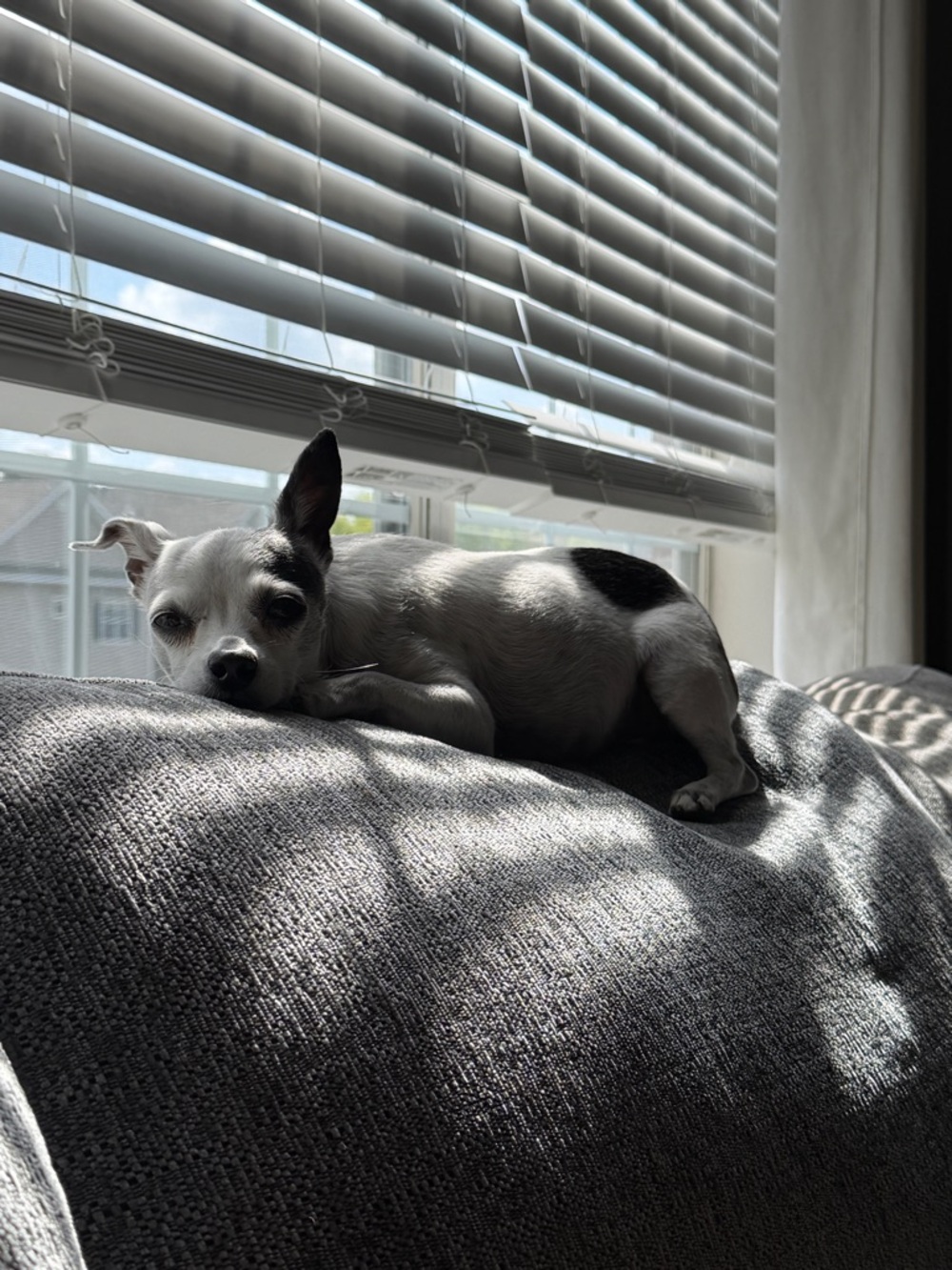 Meet your Posher, Leah